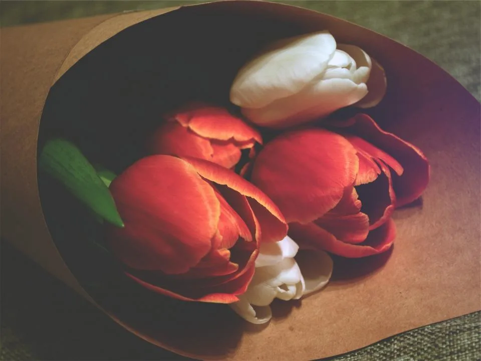 Rosas vermelhas